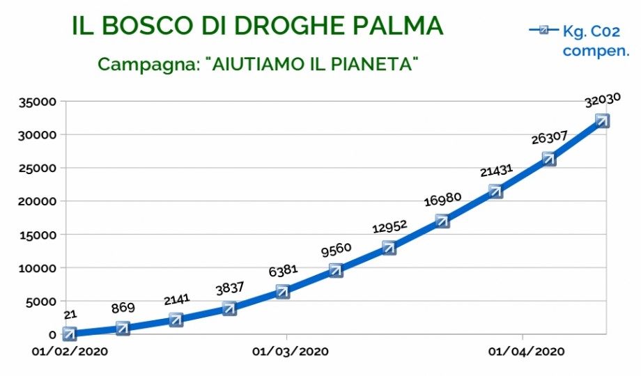 Il boscodi Droghe Palma