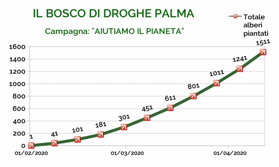 grafico bosco grafico alberi