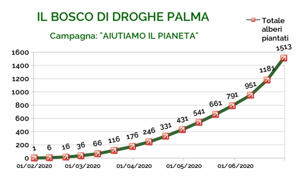 grafico bosco grafico alberi
