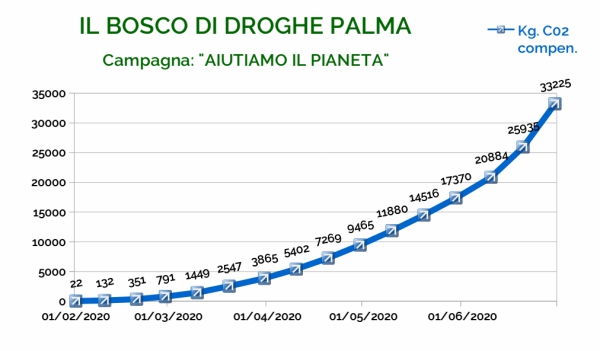 Il boscodi Droghe Palma